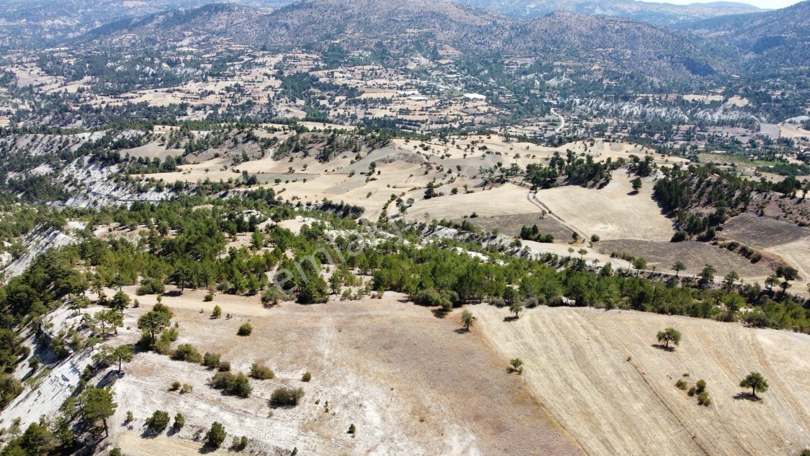 Nora'dan Takasa Açık Fırsat Arazi — fotoğraf 8