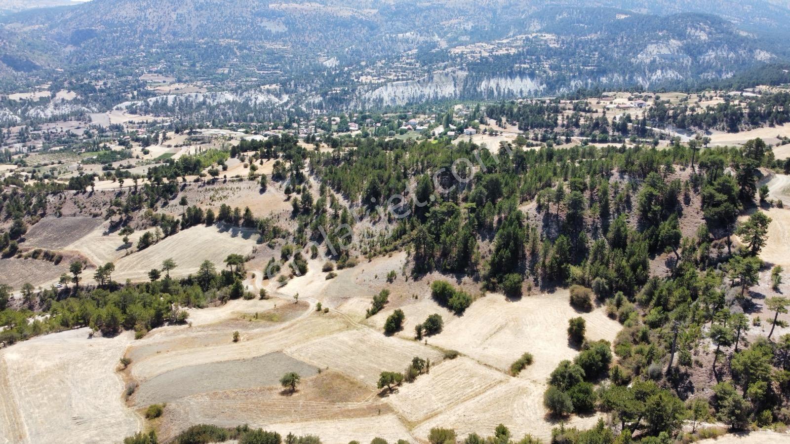 Nora'dan Takasa Açık Fırsat Arazi — fotoğraf 9