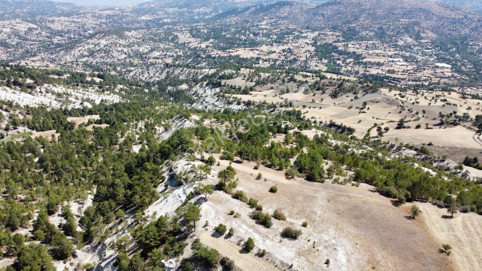 Nora'dan Takasa Açık Fırsat Arazi — fotoğraf 13