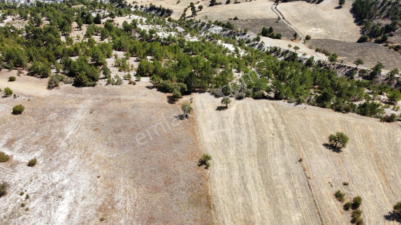 Nora'dan Takasa Açık Fırsat Arazi — fotoğraf 14