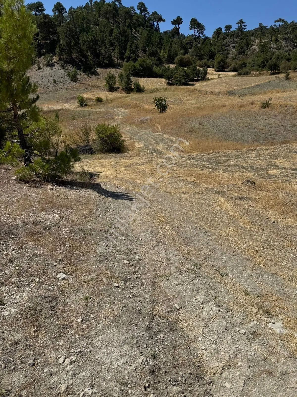 Nora'dan Takasa Açık Fırsat Arazi — fotoğraf 18