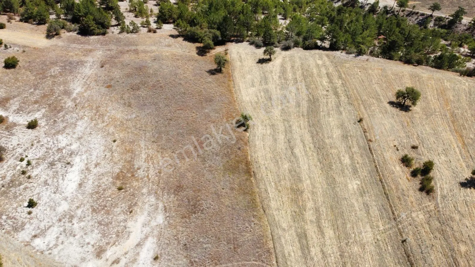 Nora'dan Takasa Açık Fırsat Arazi — fotoğraf 20