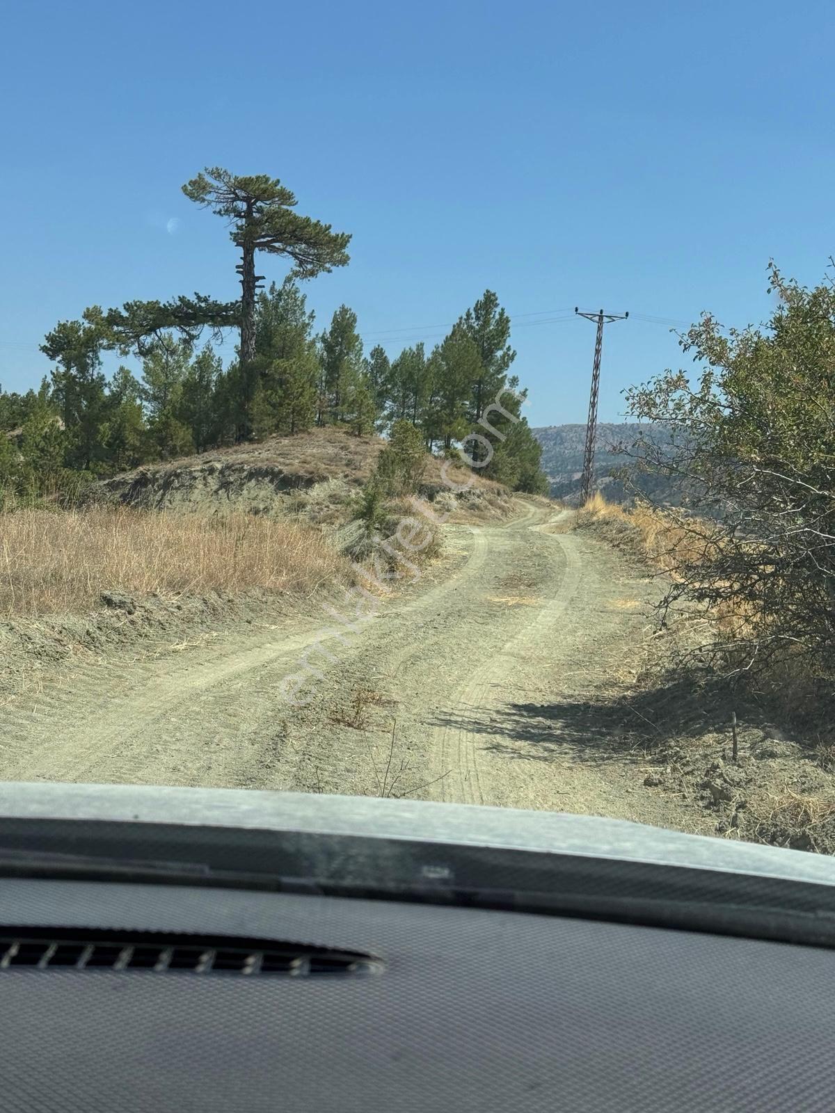 Nora'dan Takasa Açık Fırsat Arazi — fotoğraf 22