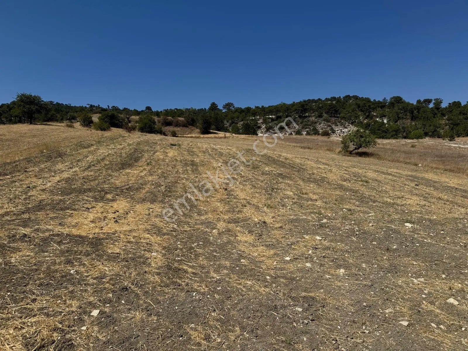Nora'dan Takasa Açık Fırsat Arazi — fotoğraf 25