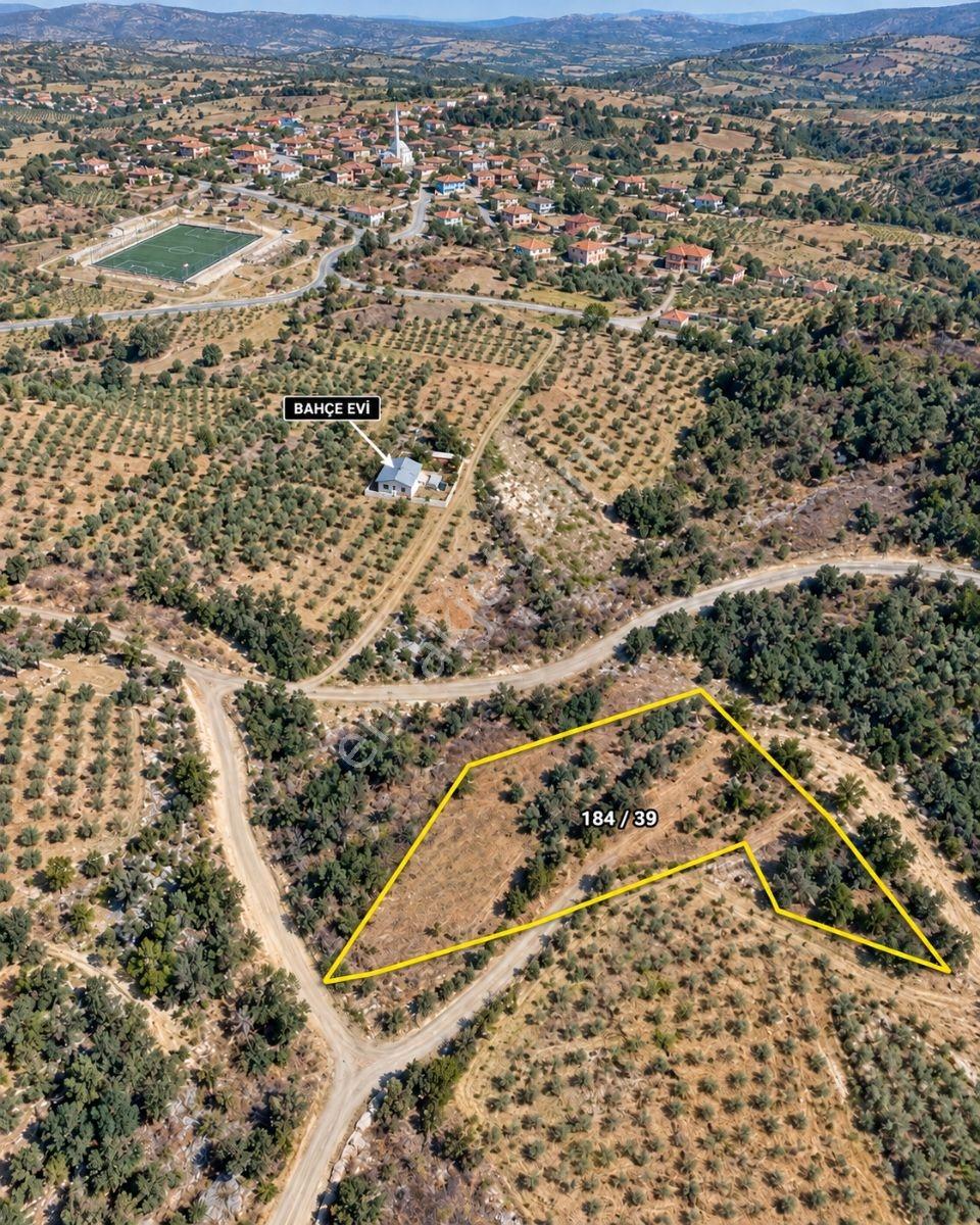 Yerleşime Yakın 1220 Metre Tarla Sadece 115 Bin Tl