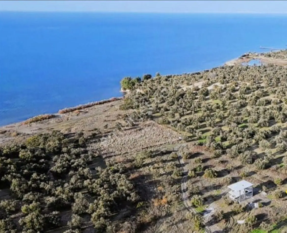 Gömec Te Satılık Villa İmarlı Arsa. — fotoğraf 8