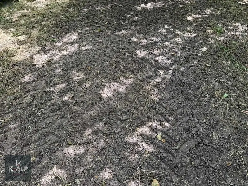 Akçatarla Mahallesinde Satılık Köyiçi 11.607 M2 Arazi — fotoğraf 12
