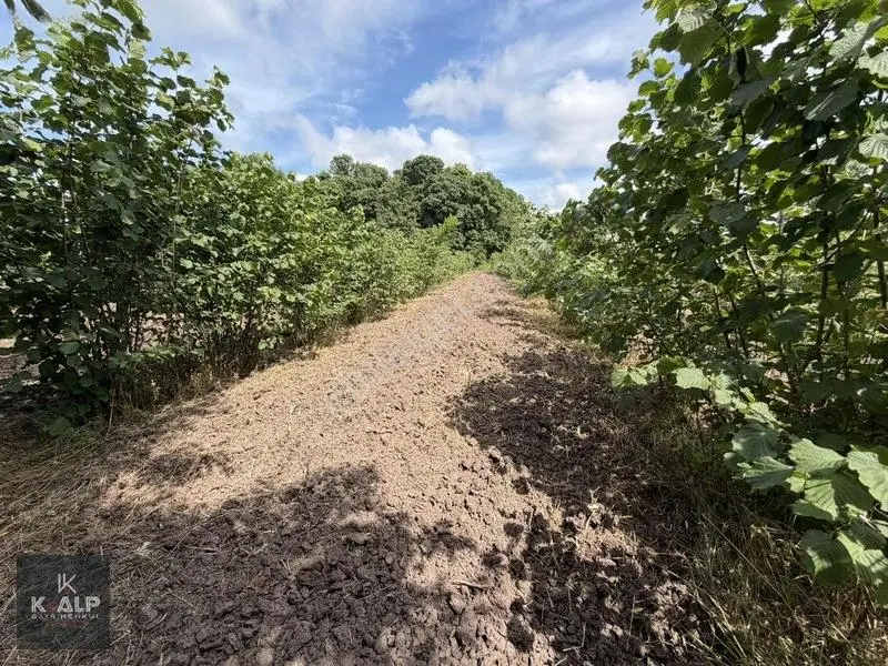 Akçatarla Mahallesinde Satılık Köyiçi 11.607 M2 Arazi — fotoğraf 13
