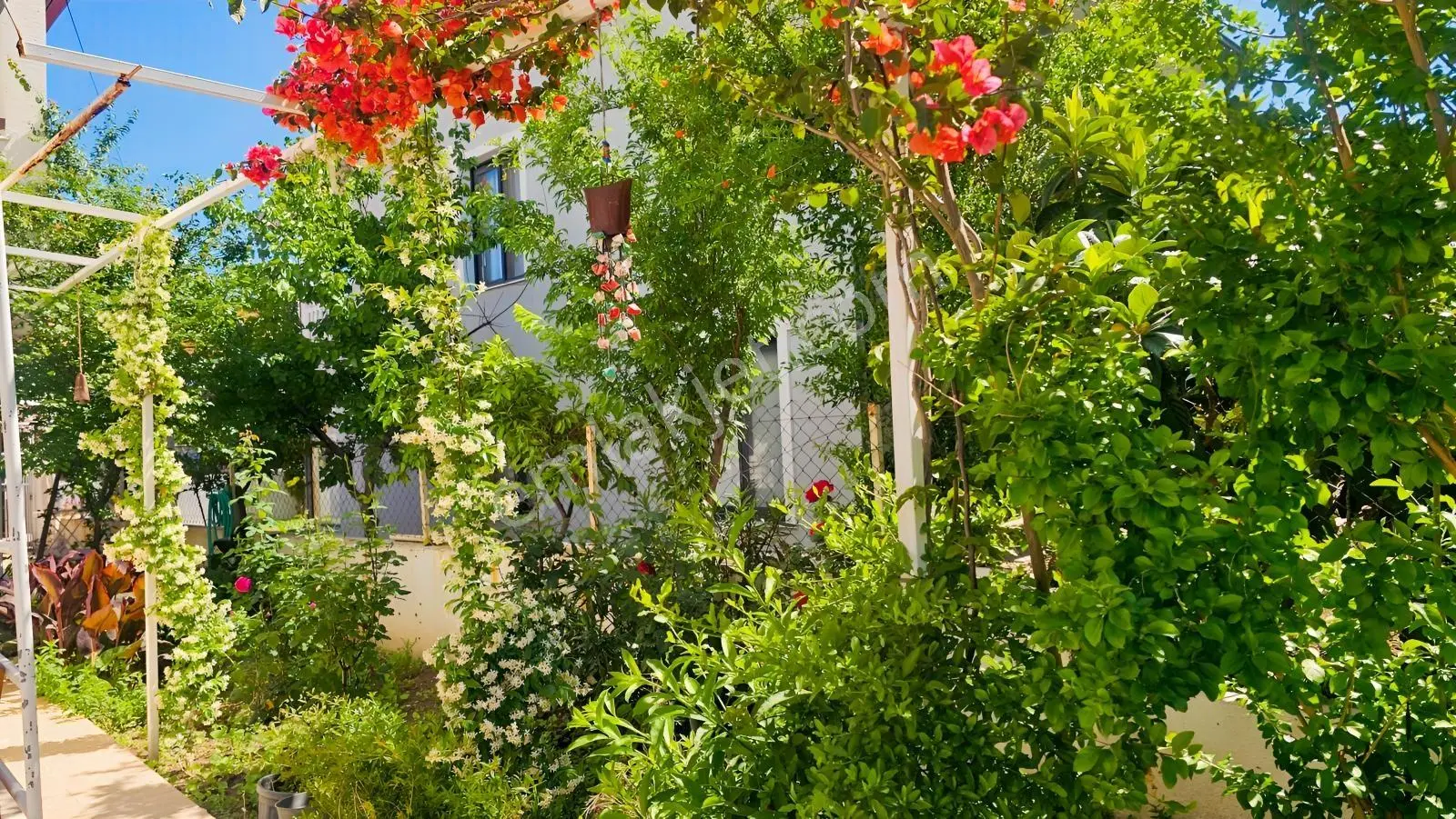 İzmir Urla Gülbahçe Denize Yakın Satılık Müstakil Villa Ev — fotoğraf 3