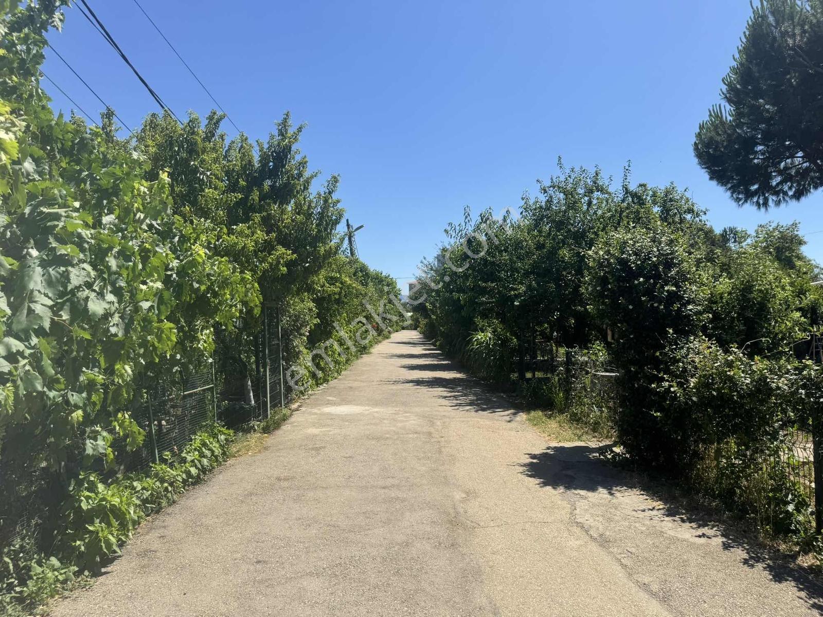 Yalova Yolu Üzerinde Satılık Bahçeli Müstakil Prefabrik Ev — fotoğraf 30
