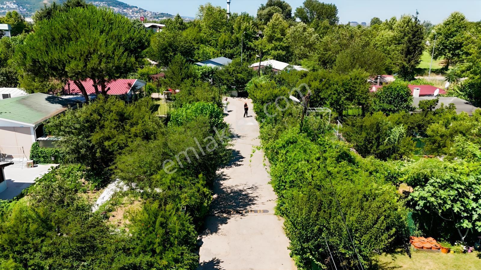 Yalova Yolu Üzerinde Satılık Bahçeli Müstakil Prefabrik Ev — fotoğraf 34