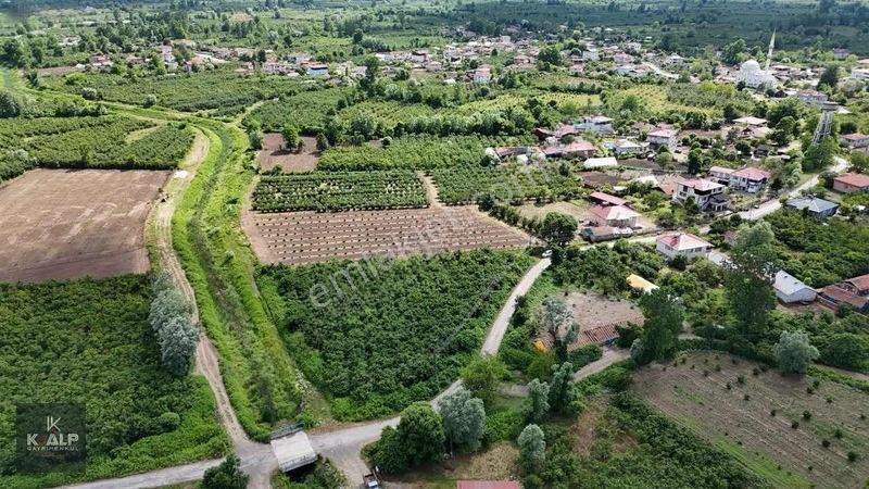 Y.Donurluda Villalık Mustakil Köyiçi 3538 M2 Arsa