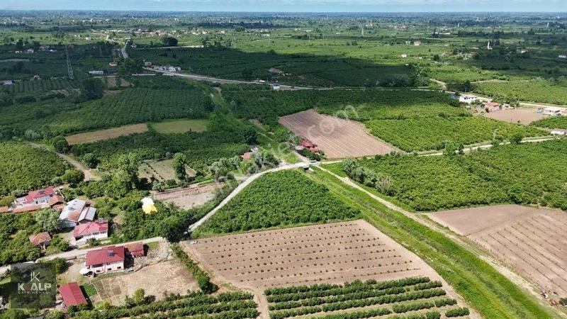 Y.donurluda Villalık Mustakil Köyiçi 3538 M2 Arsa — fotoğraf 3