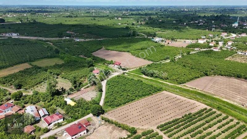 Y.donurluda Villalık Mustakil Köyiçi 3538 M2 Arsa — fotoğraf 4