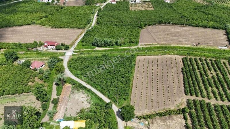 Y.donurluda Villalık Mustakil Köyiçi 3538 M2 Arsa — fotoğraf 5