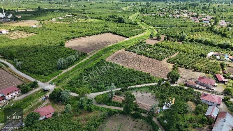 Y.donurluda Villalık Mustakil Köyiçi 3538 M2 Arsa — fotoğraf 6