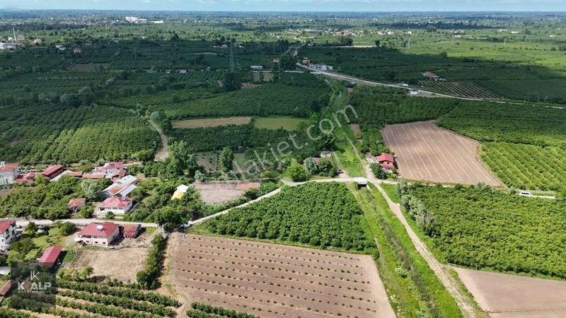 Y.donurluda Villalık Mustakil Köyiçi 3538 M2 Arsa — fotoğraf 7