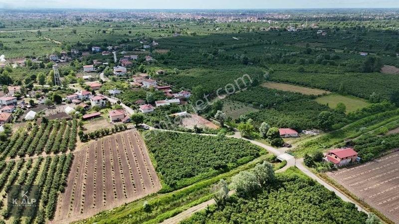 Y.donurluda Villalık Mustakil Köyiçi 3538 M2 Arsa — fotoğraf 8