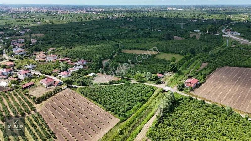 Y.donurluda Villalık Mustakil Köyiçi 3538 M2 Arsa — fotoğraf 9