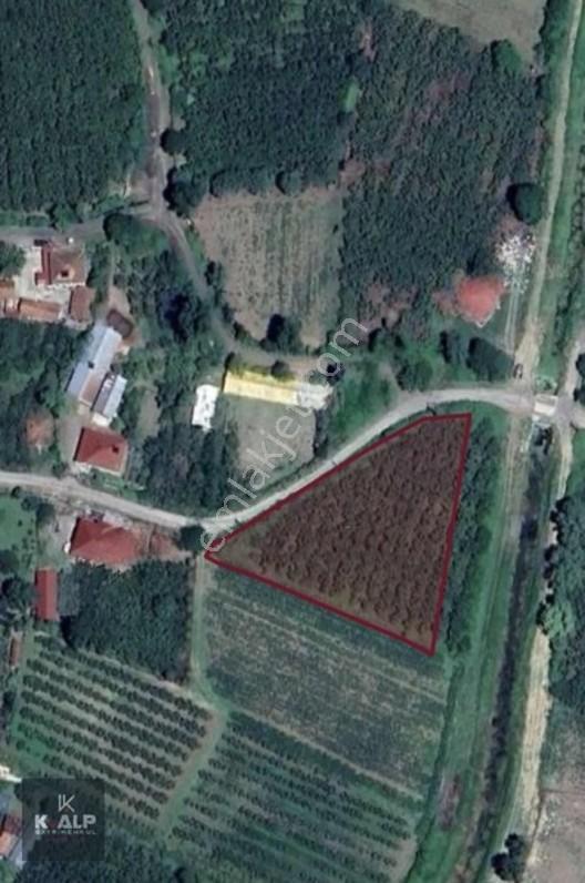 Y.donurluda Villalık Mustakil Köyiçi 3538 M2 Arsa — fotoğraf 10