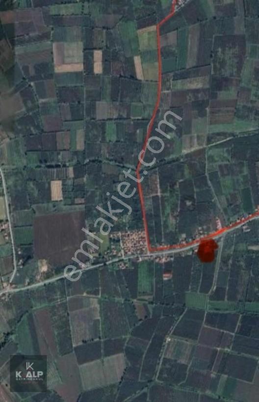 Durusu Sağlık Ocağı Yanında Satılık 6026 M2 Köyiçi Yer — fotoğraf 3