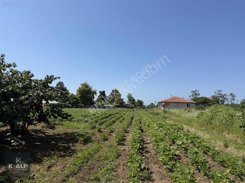 Durusu Sağlık Ocağı Yanında Satılık 6026 M2 Köyiçi Yer — fotoğraf 6