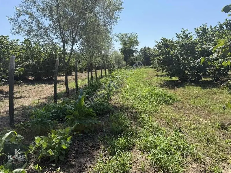 Durusu Sağlık Ocağı Yanında Satılık 6026 M2 Köyiçi Yer — fotoğraf 10