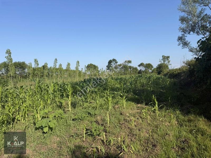 Denizler (taşlık) Mahallesinde Acil Satılık 5900 M2 Arsa — fotoğraf 2