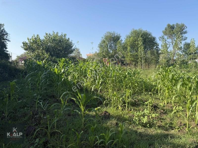 Denizler (taşlık) Mahallesinde Acil Satılık 5900 M2 Arsa — fotoğraf 6
