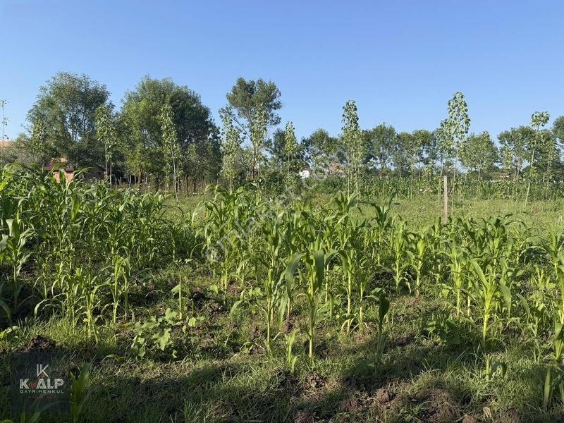 Denizler (taşlık) Mahallesinde Acil Satılık 5900 M2 Arsa — fotoğraf 7