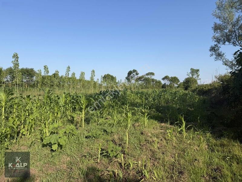 Denizler (taşlık) Mahallesinde Acil Satılık 5900 M2 Arsa — fotoğraf 8