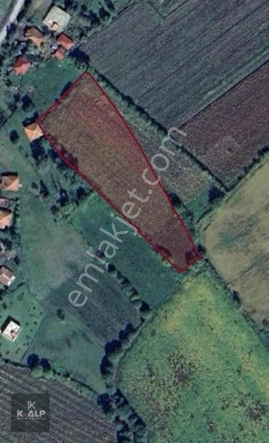 Denizler (taşlık) Mahallesinde Acil Satılık 5900 M2 Arsa — fotoğraf 9