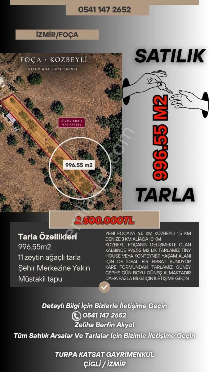 11 Zeytin Agaçlı 996.55m2 Tarla Detaylar Açıklamada — fotoğraf 7
