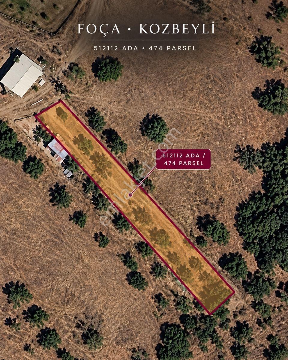 11 Zeytin Agaçlı 996.55m2 Tarla Detaylar Açıklamada — fotoğraf 8