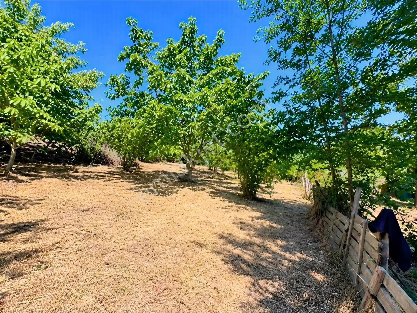 Kocaeli - Kandıra / Topluca Mh. 900 M2 %40 İmarlı Arsa