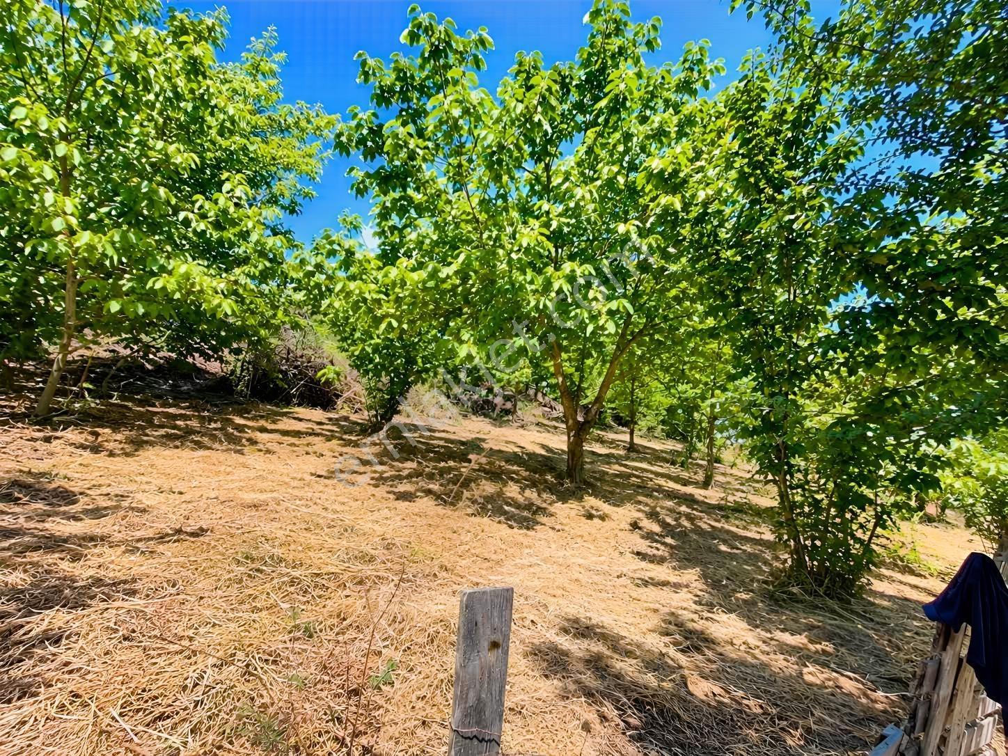 Kocaeli - Kandıra / Topluca Mh. 900 M2 %40 İmarlı Arsa — fotoğraf 2