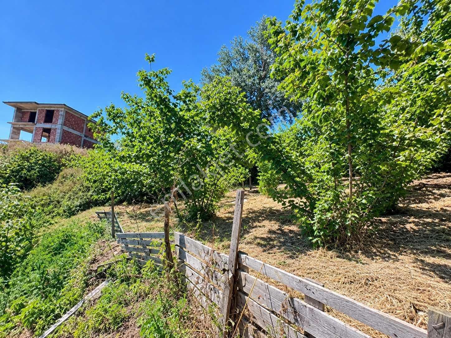 Kocaeli - Kandıra / Topluca Mh. 900 M2 %40 İmarlı Arsa — fotoğraf 3