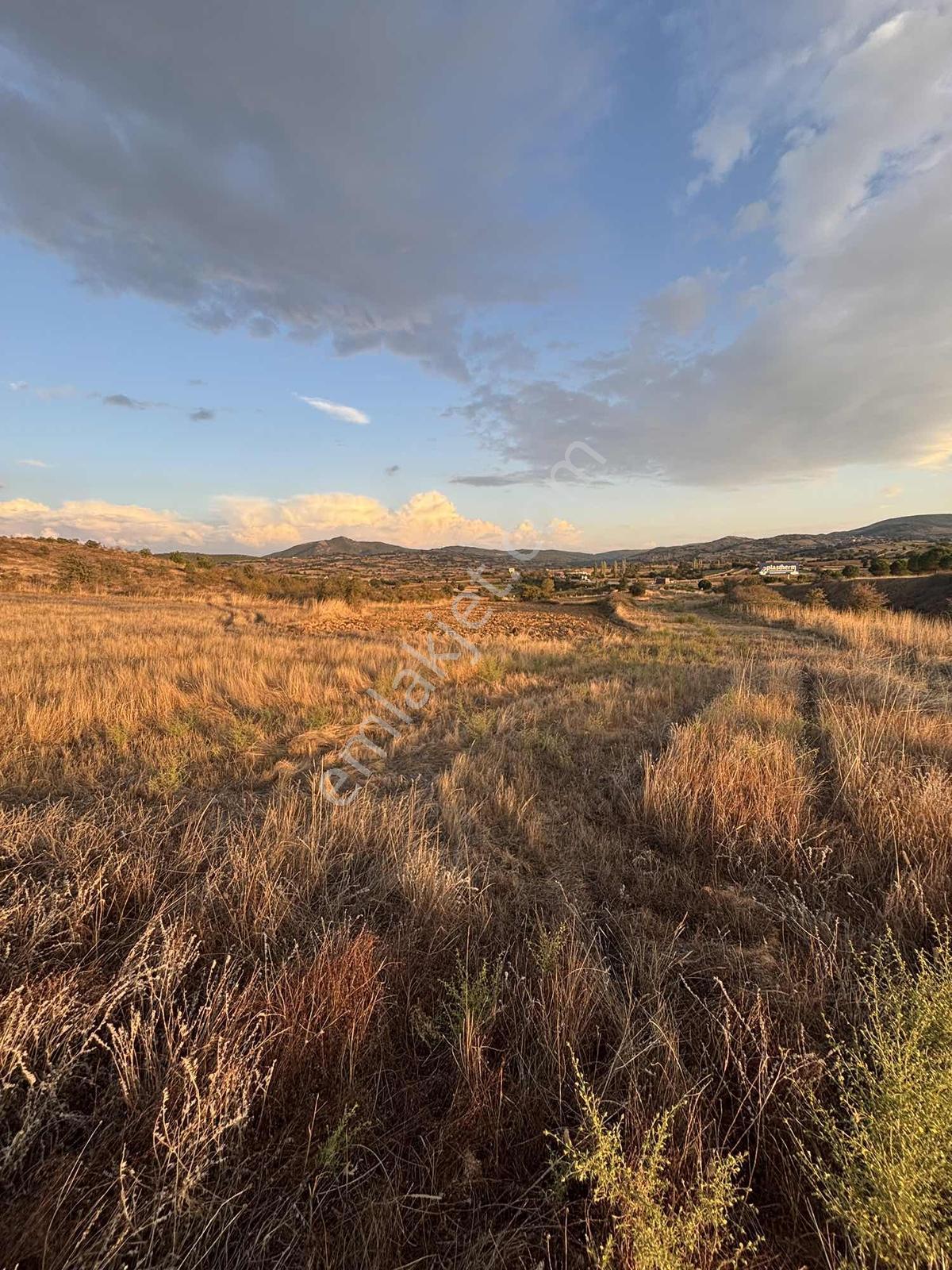 Balcity - Altıeylül 3.900 M2 Otoyola Cephe Gölet Manzaralı Tarla — fotoğraf 10