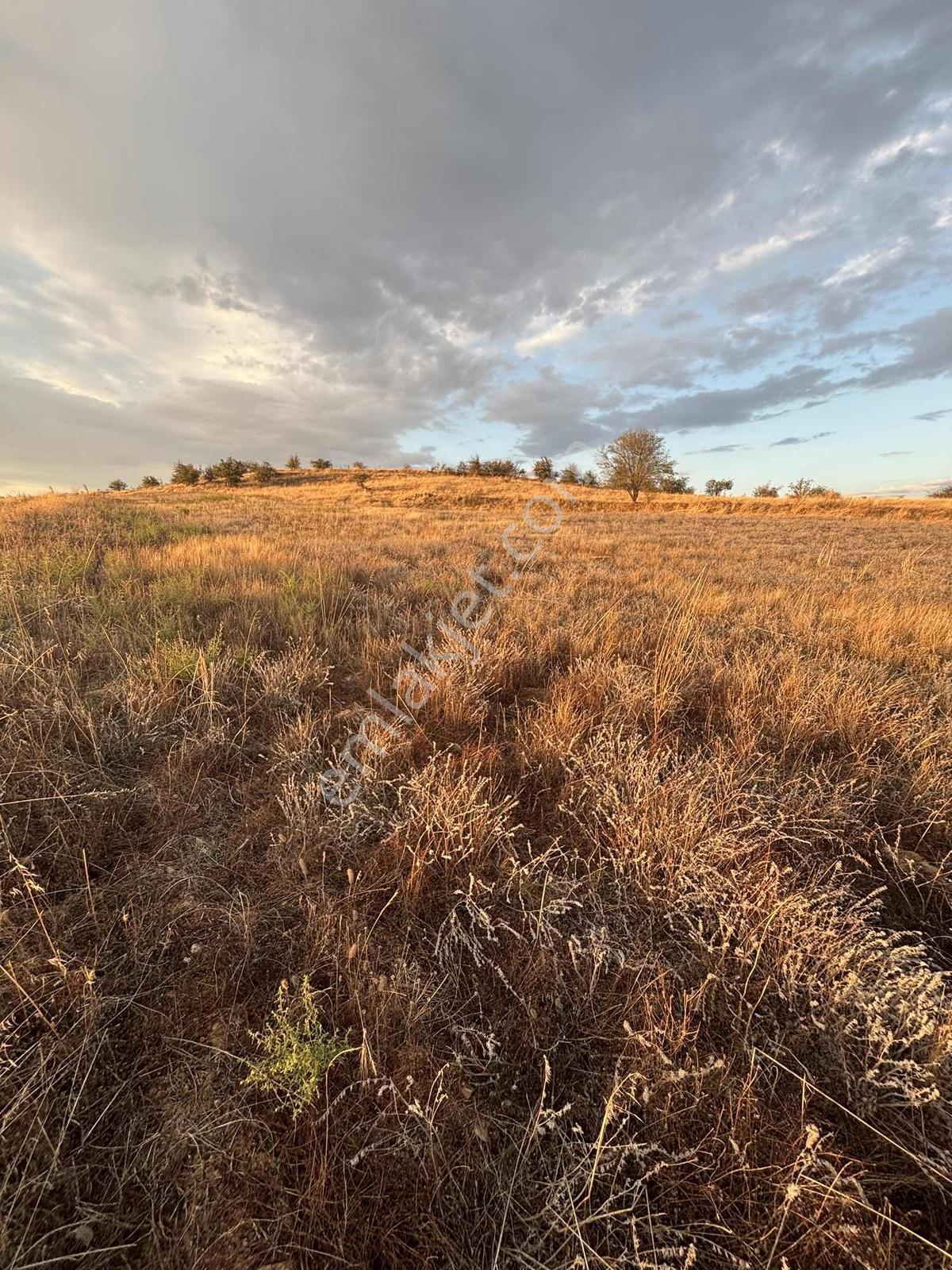 Balcity - Altıeylül 3.900 M2 Otoyola Cephe Gölet Manzaralı Tarla — fotoğraf 11