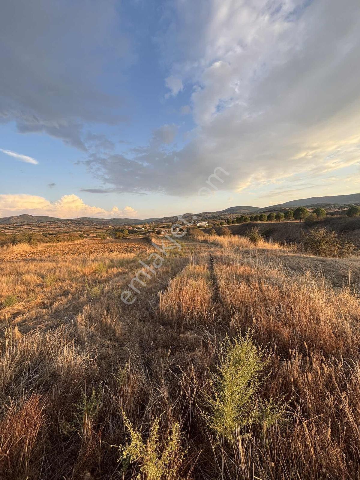 Balcity - Altıeylül 3.900 M2 Otoyola Cephe Gölet Manzaralı Tarla — fotoğraf 12