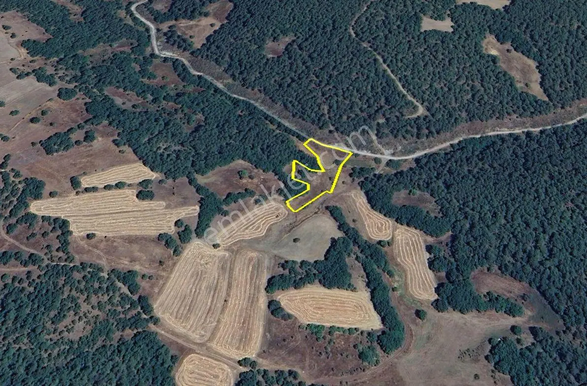 Tavşanlı Arifler’de Toplam 15.673 M² — 6 Tarla Toplu Satılık — fotoğraf 3