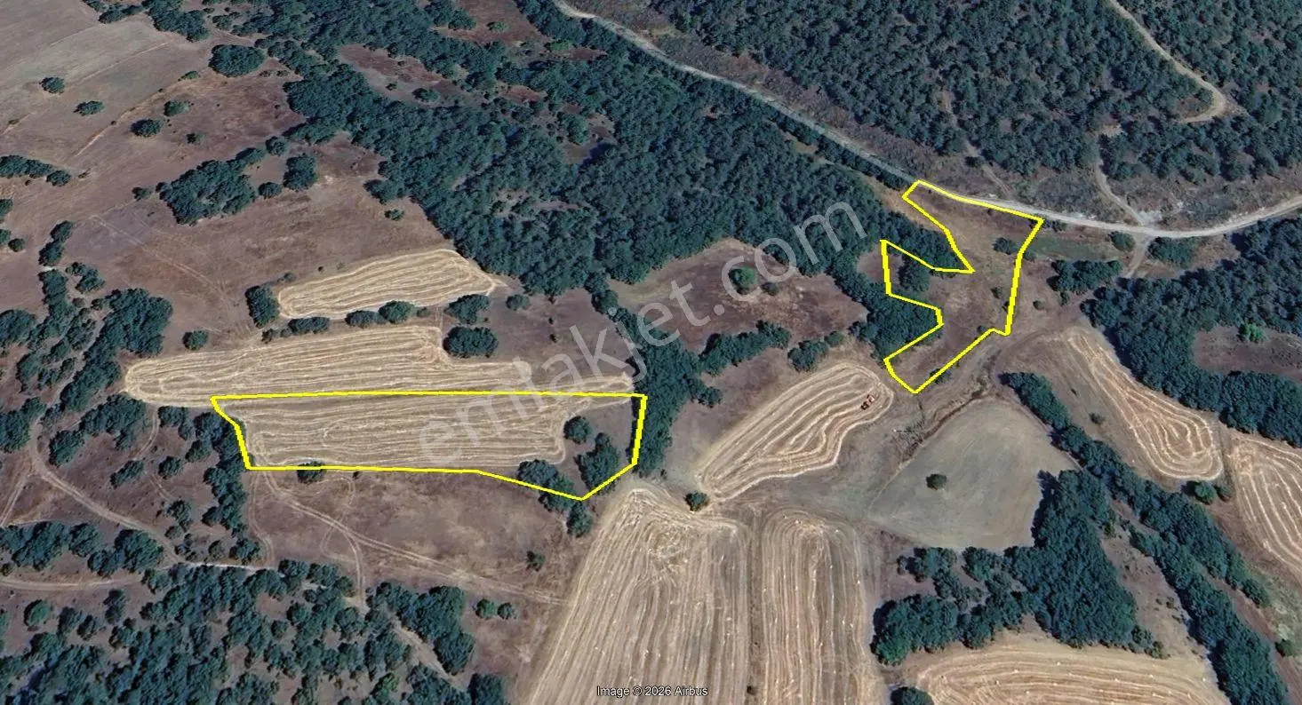 Tavşanlı Arifler’de Toplam 15.673 M² — 6 Tarla Toplu Satılık — fotoğraf 4