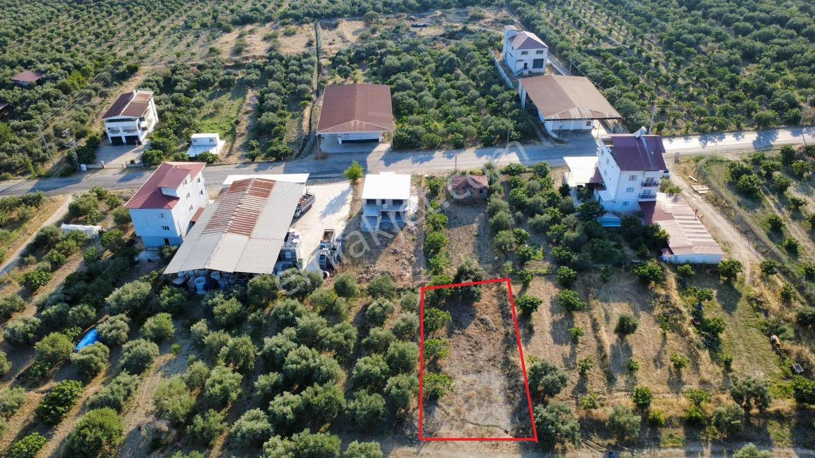 Kuyucak Horsunlu Kurtuluş'Ta 522 M2 İmarlı Arsa