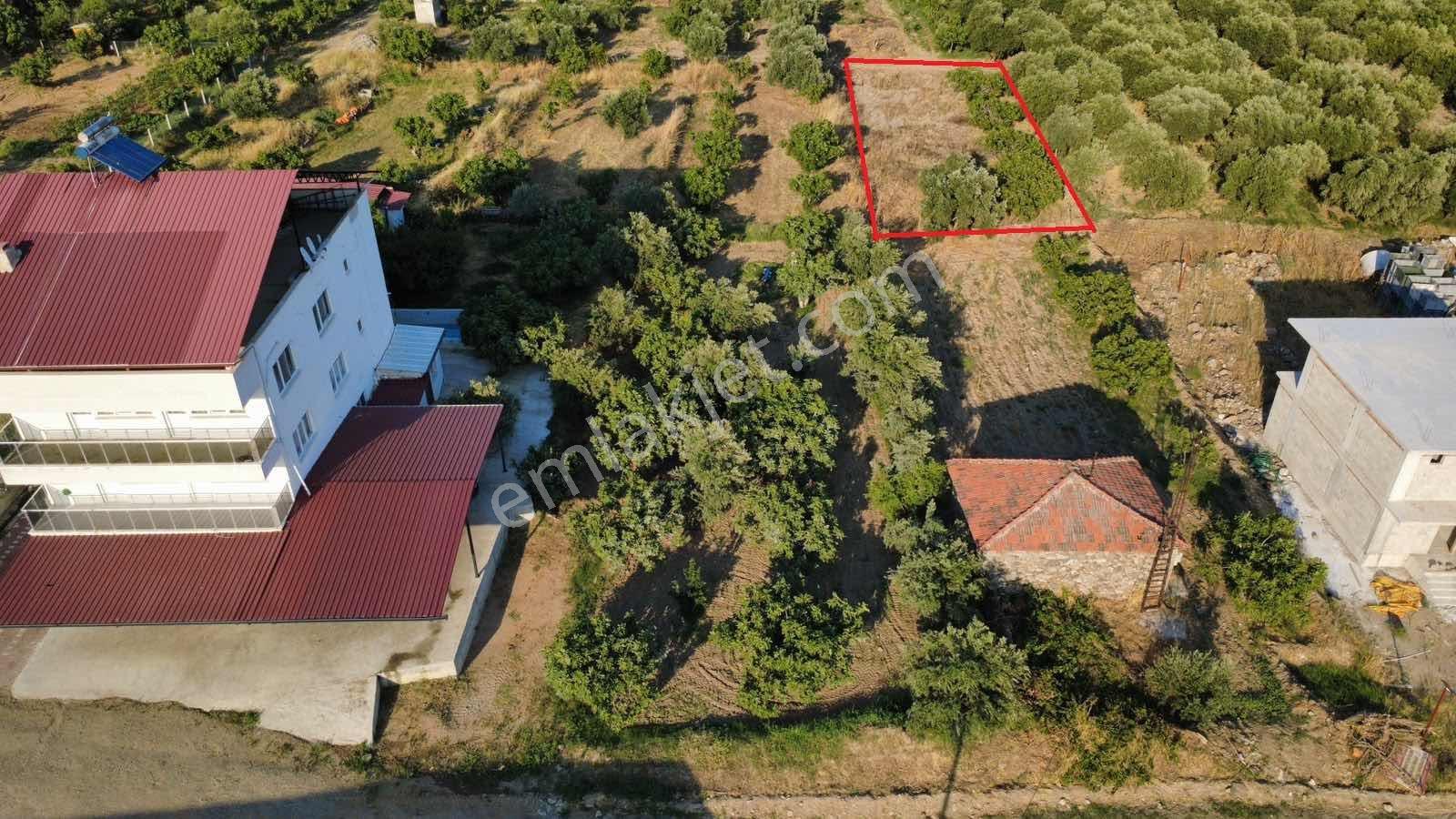 Kuyucak Horsunlu Kurtuluş'ta 522 M2 İmarlı Arsa — fotoğraf 2