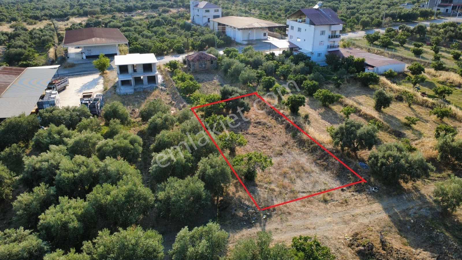 Kuyucak Horsunlu Kurtuluş'ta 522 M2 İmarlı Arsa — fotoğraf 4