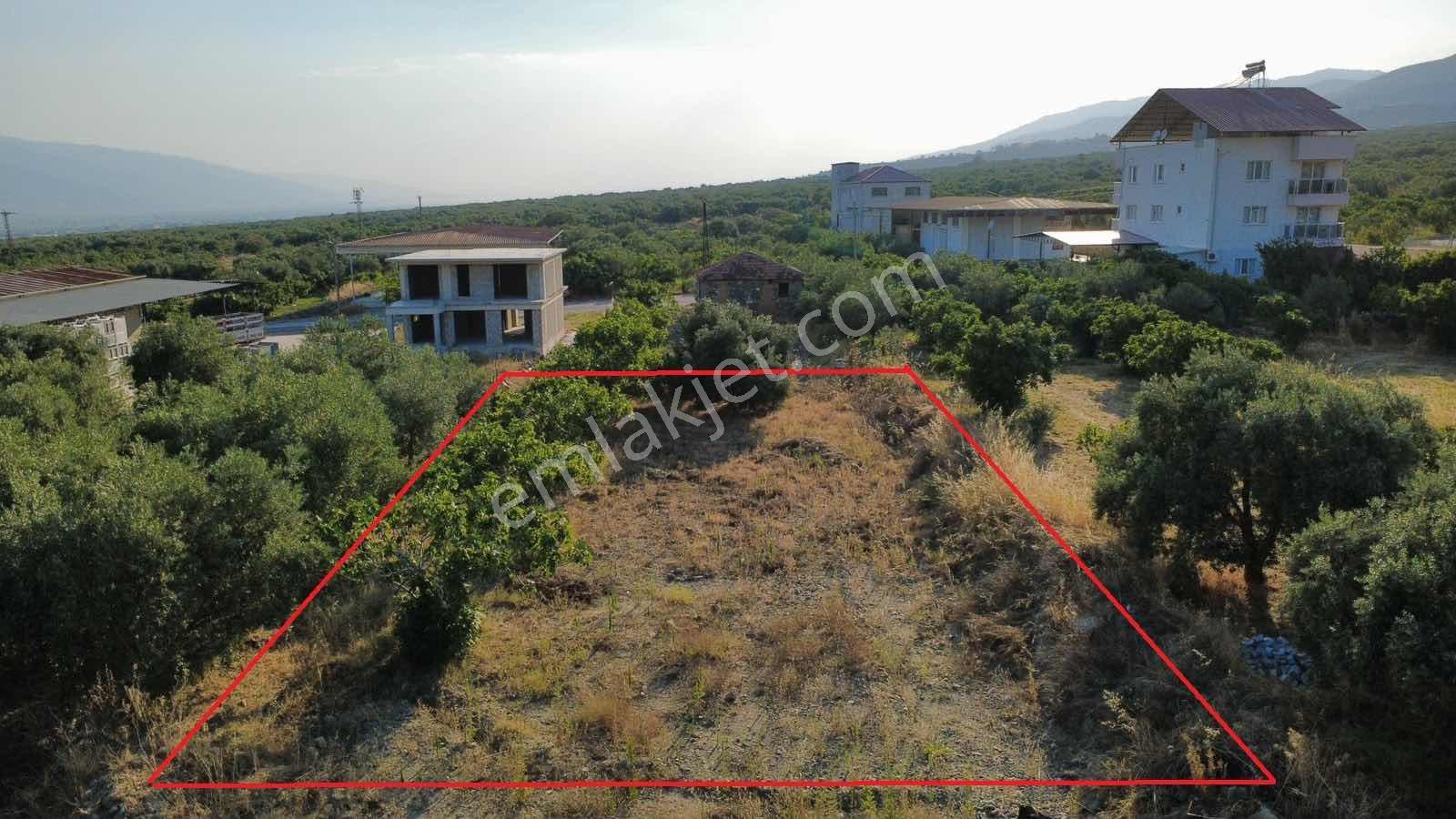 Kuyucak Horsunlu Kurtuluş'ta 522 M2 İmarlı Arsa — fotoğraf 5