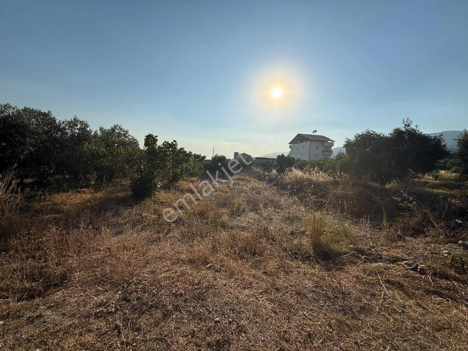 Kuyucak Horsunlu Kurtuluş'ta 522 M2 İmarlı Arsa — fotoğraf 7