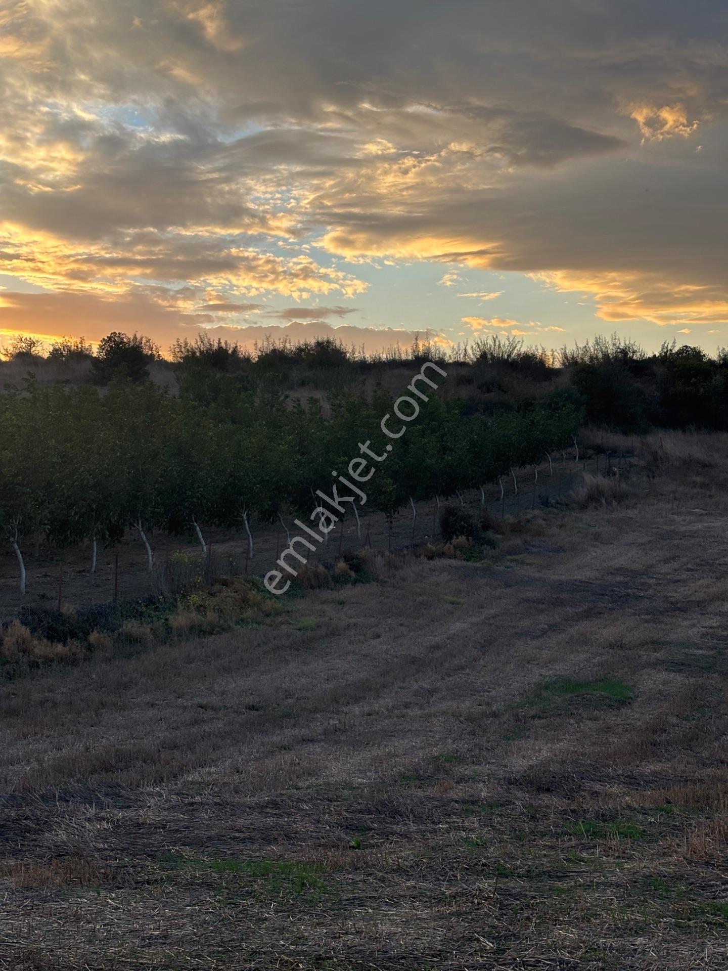 Balcity - Altıeylül Selimiye'de 4.963 M2 Meraya Ve Yola Cephe — fotoğraf 10