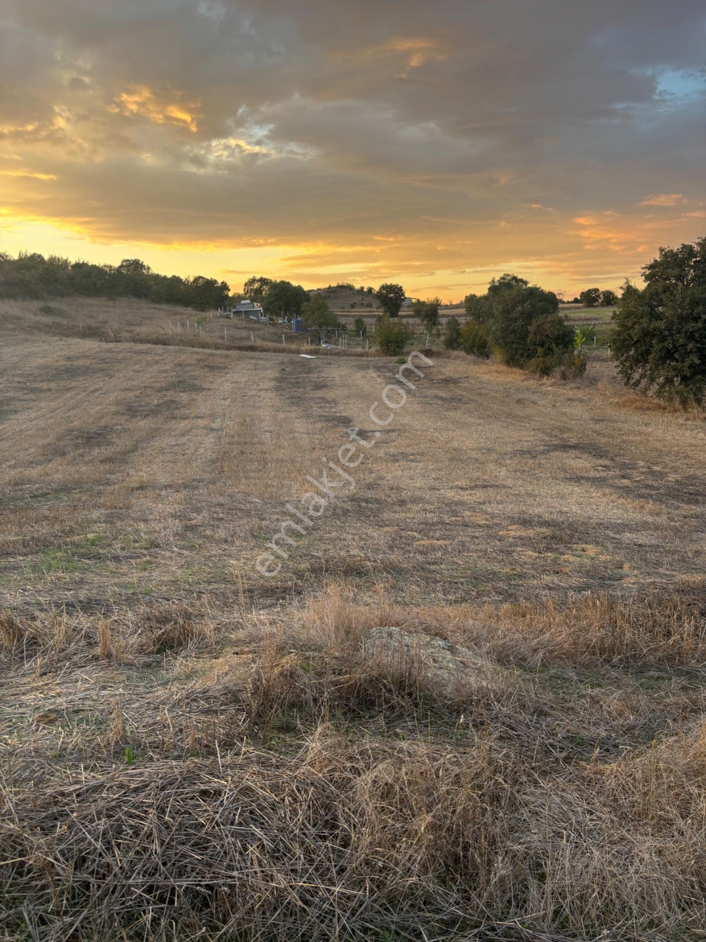 Balcity - Altıeylül Selimiye'de 4.963 M2 Meraya Ve Yola Cephe — fotoğraf 13