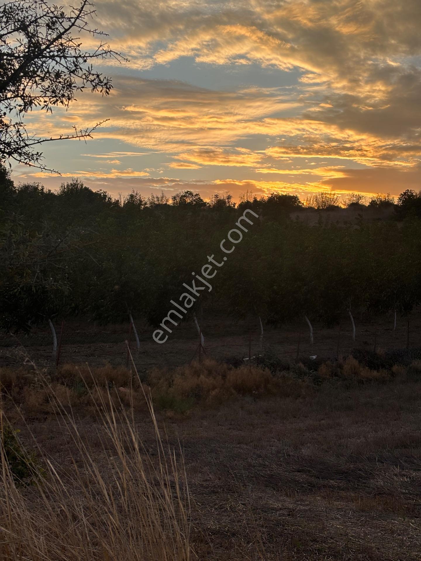 Balcity - Altıeylül Selimiye'de 4.963 M2 Meraya Ve Yola Cephe — fotoğraf 14